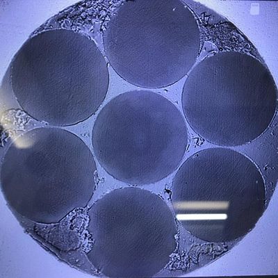 O hexágono de fibra ótica dos produtos 6 da pesquisa científica do multi núcleo arranjou